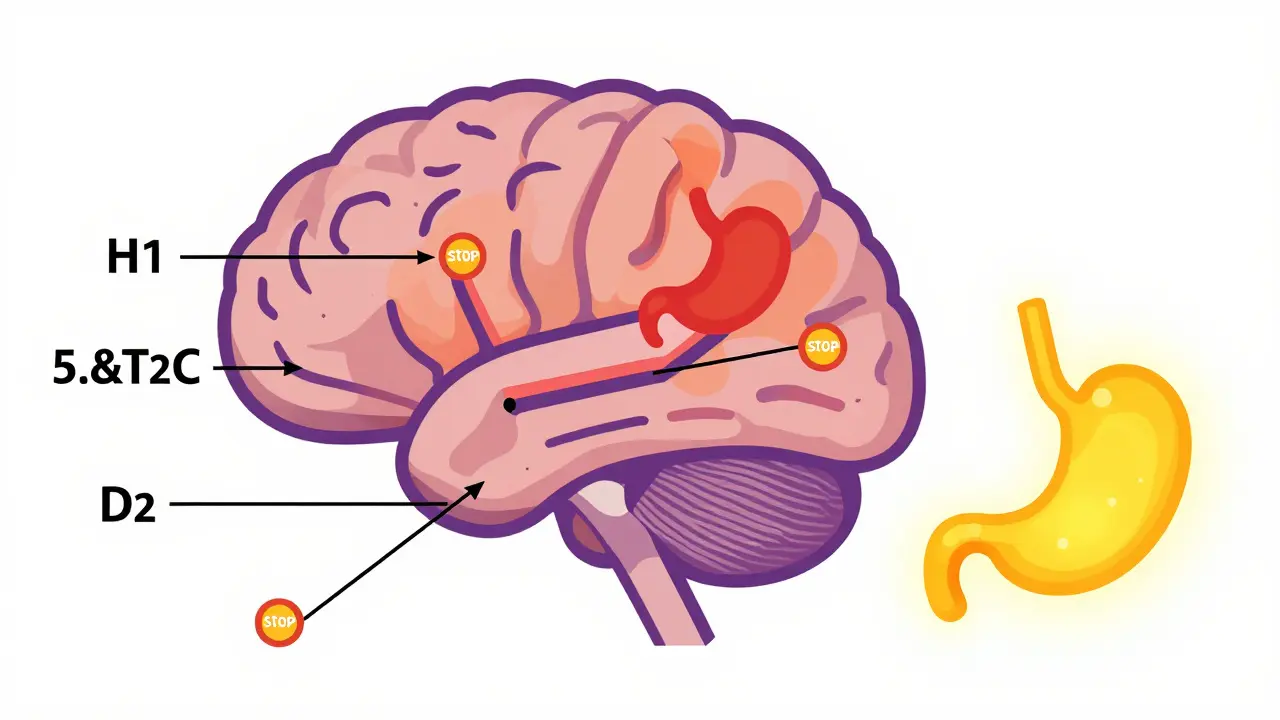 Brain diagram showing blocked receptors causing hunger signals