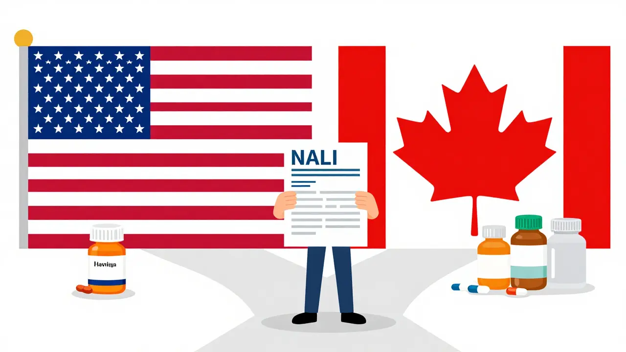 Comparison illustration of expensive US drugs vs affordable Canadian generics
